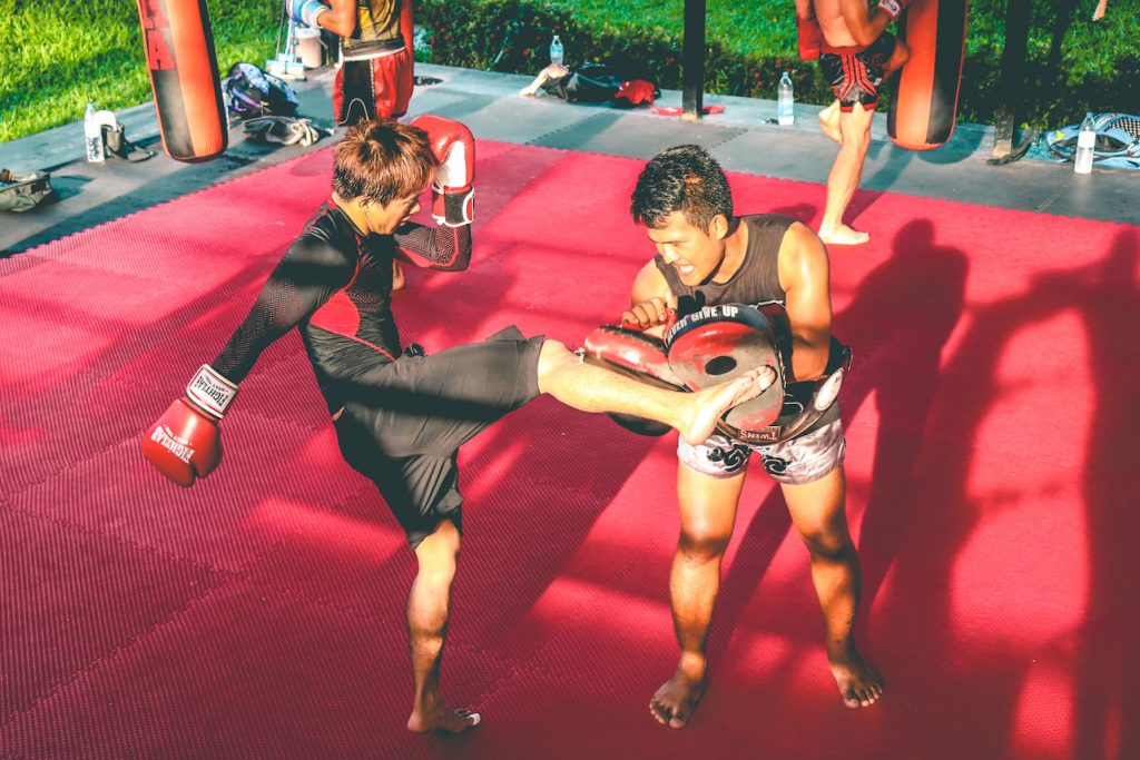experienced-trainers-fights-combined